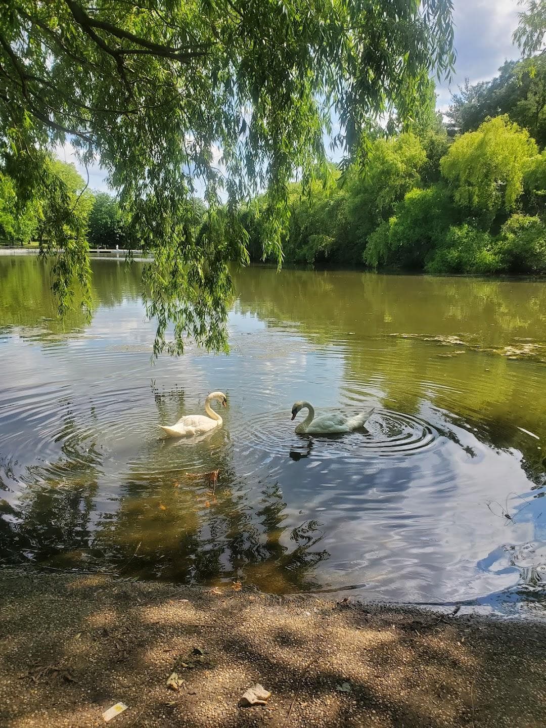 Kissena Park photo 5