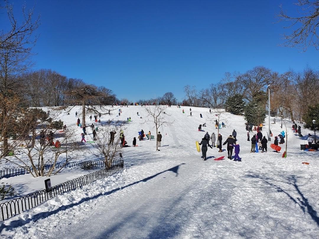 Owl's Head Park photo 2