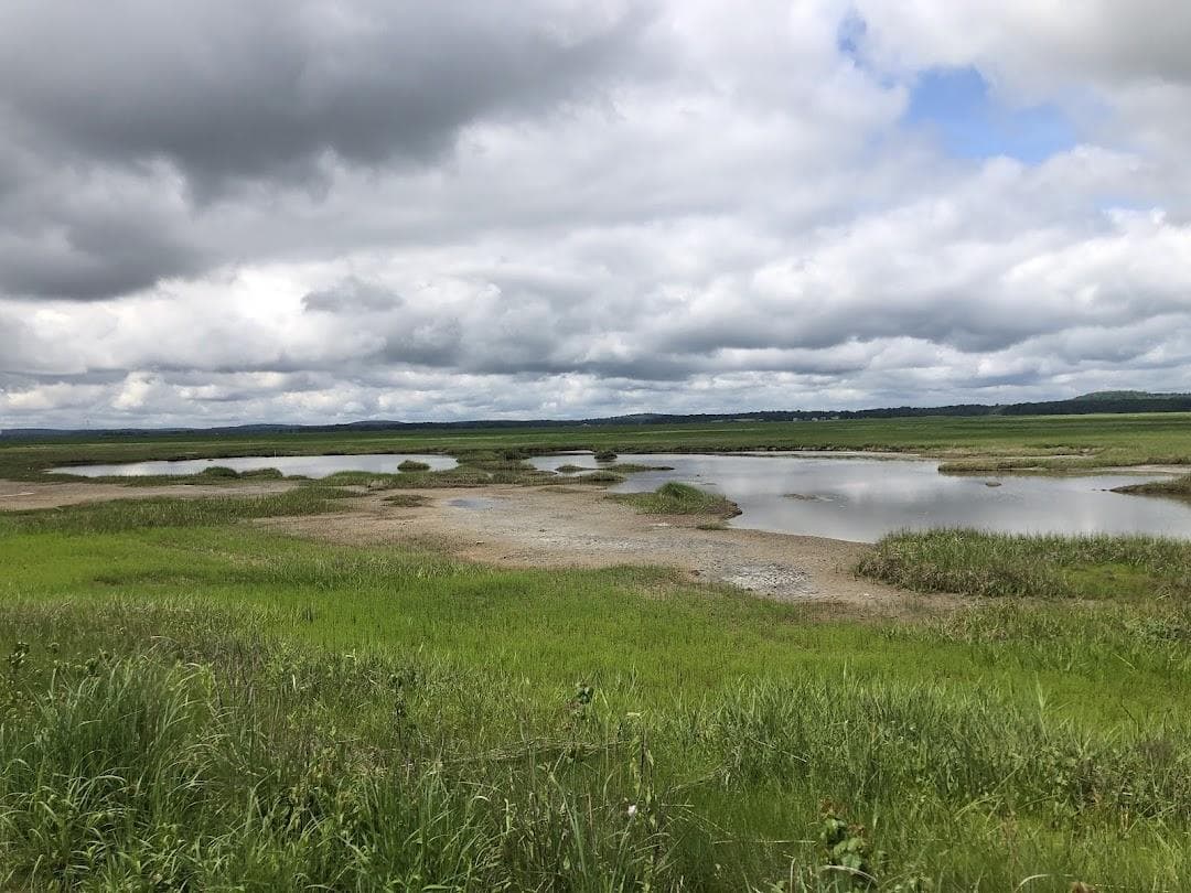 Plum Island Beach photo 6