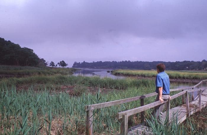 Udall's Cove Park Preserve photo 6