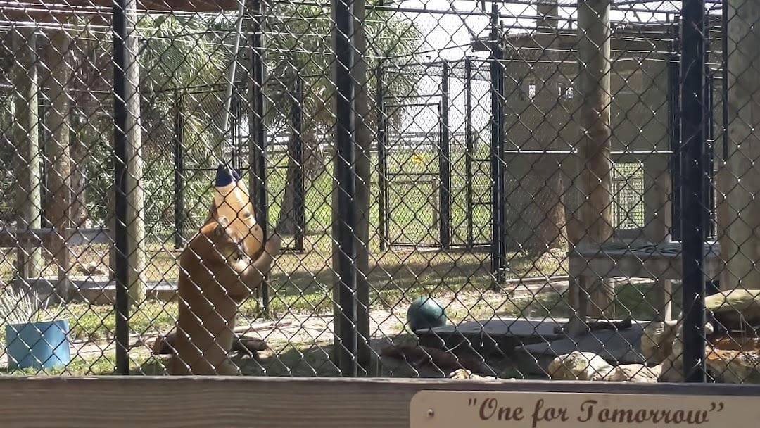 Busch Wildlife Sanctuary photo 5