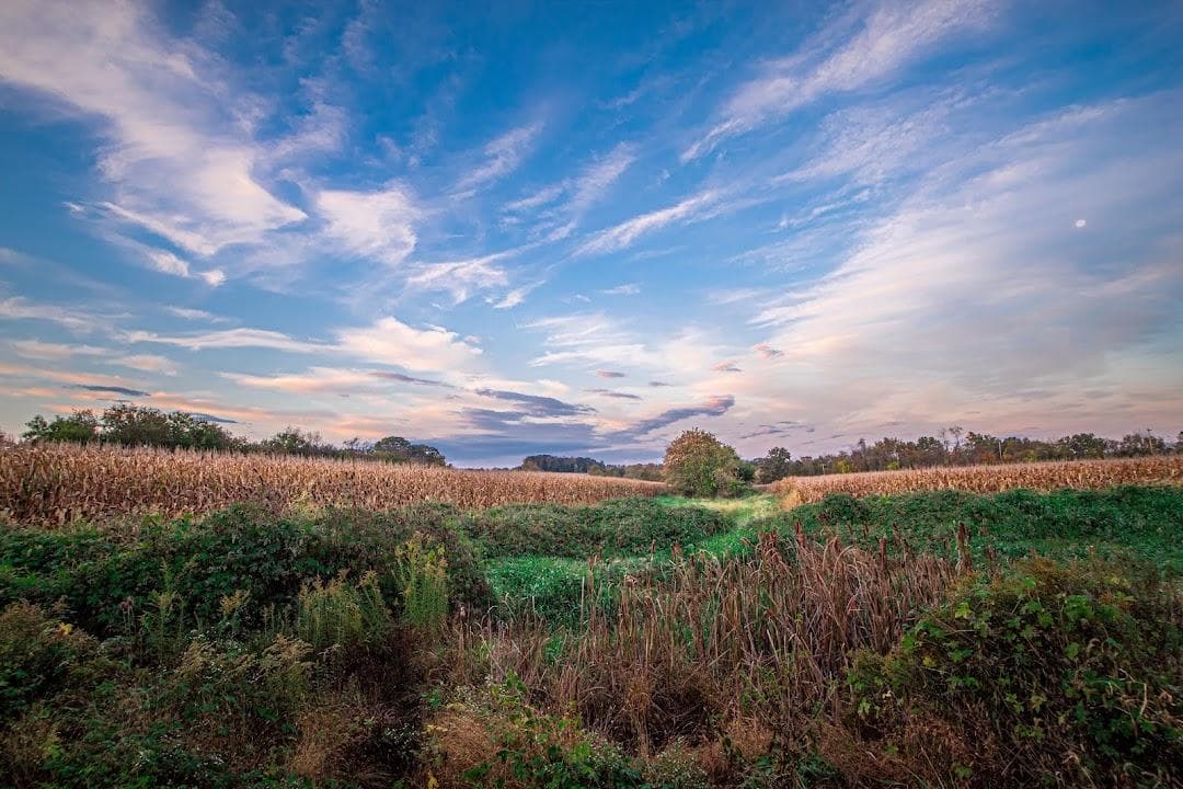 Norristown Farm Park photo 2