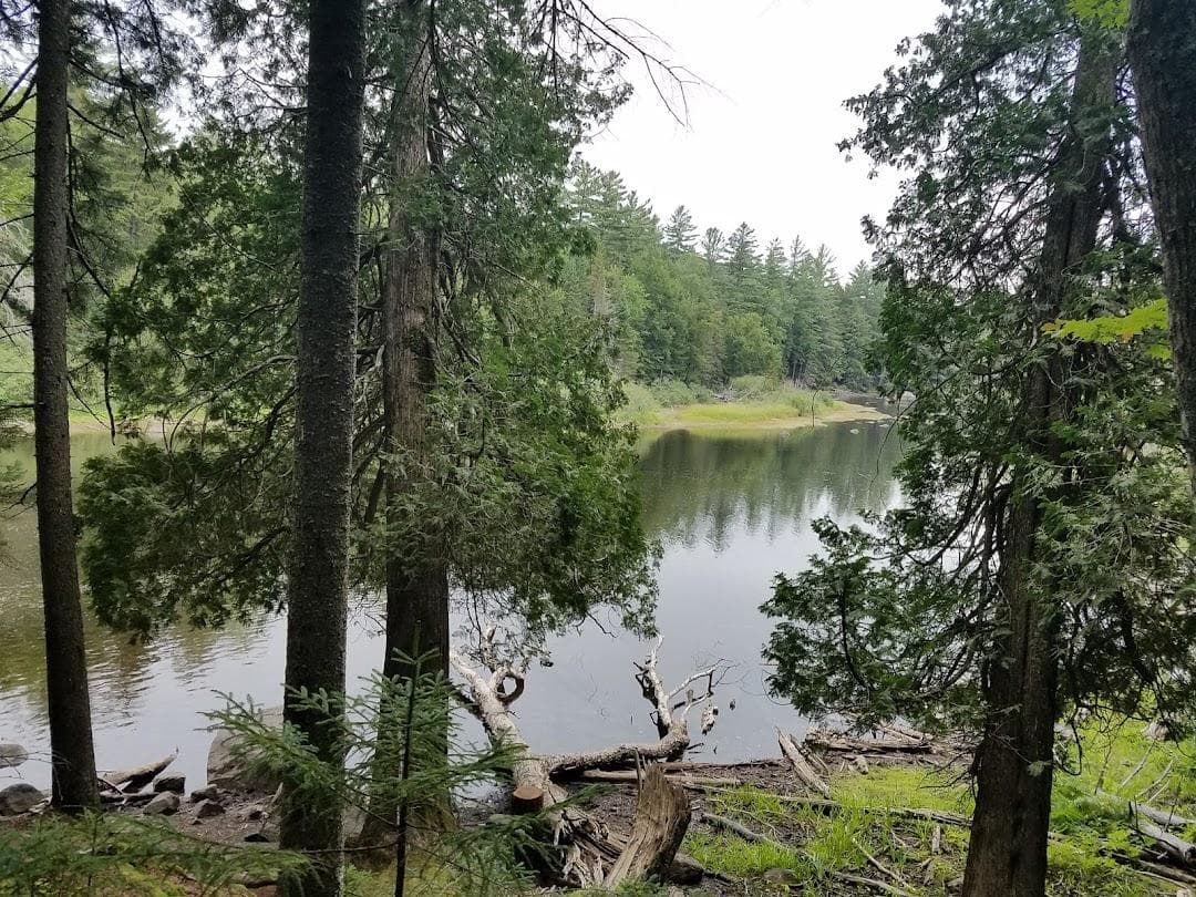 Long Lake photo 1