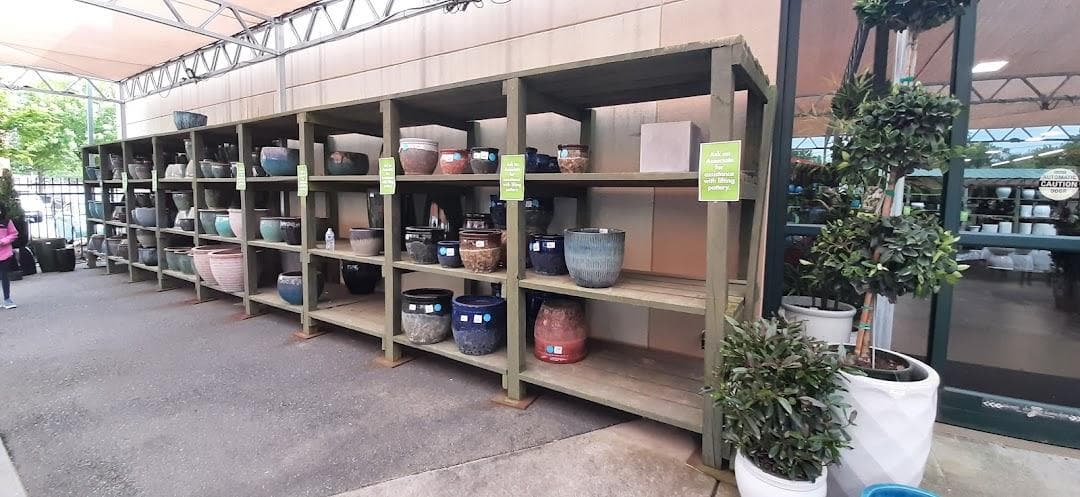 Pike Nurseries photo 5