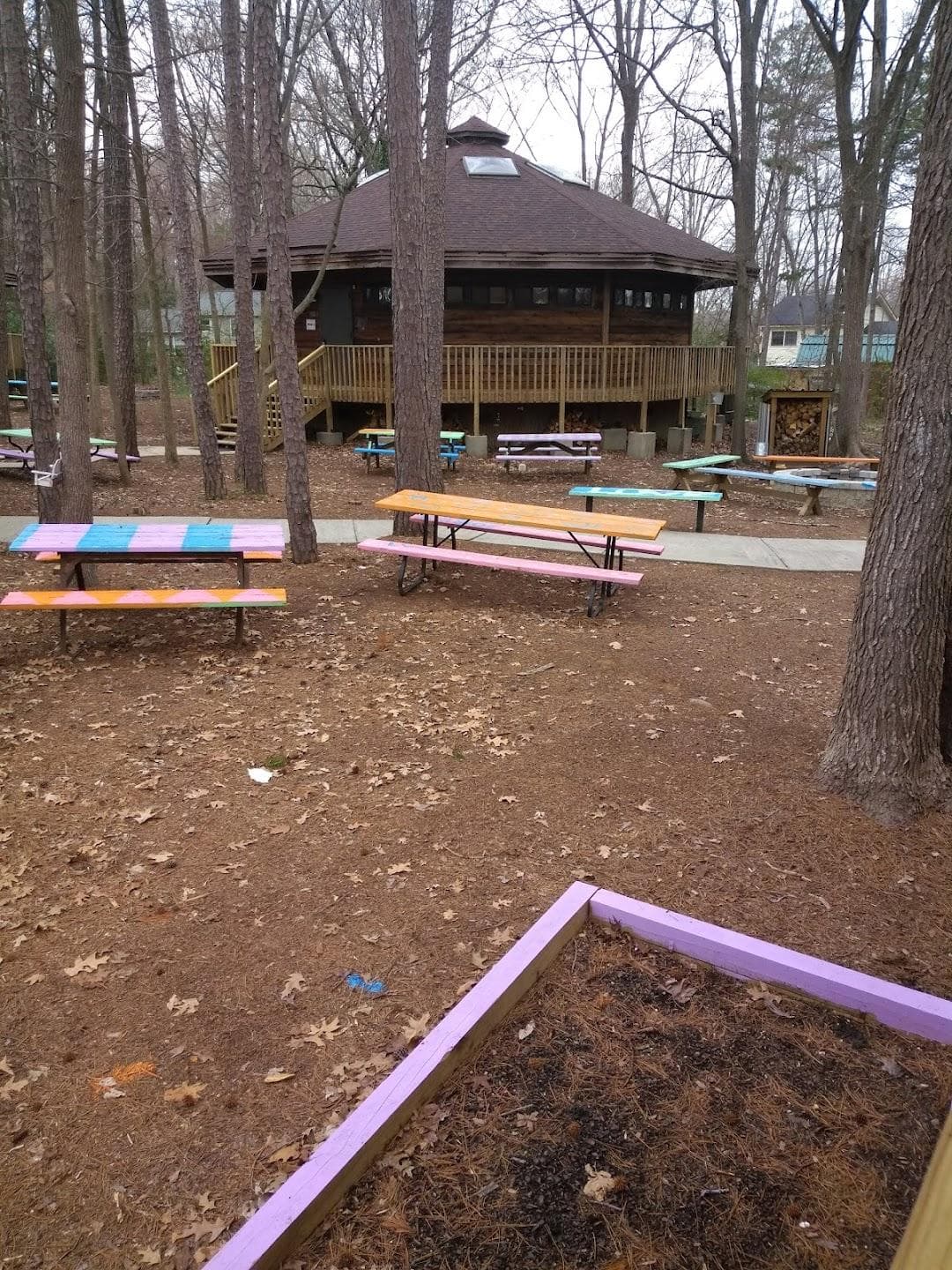 Girl Scouts, Hornets' Nest Council photo 4