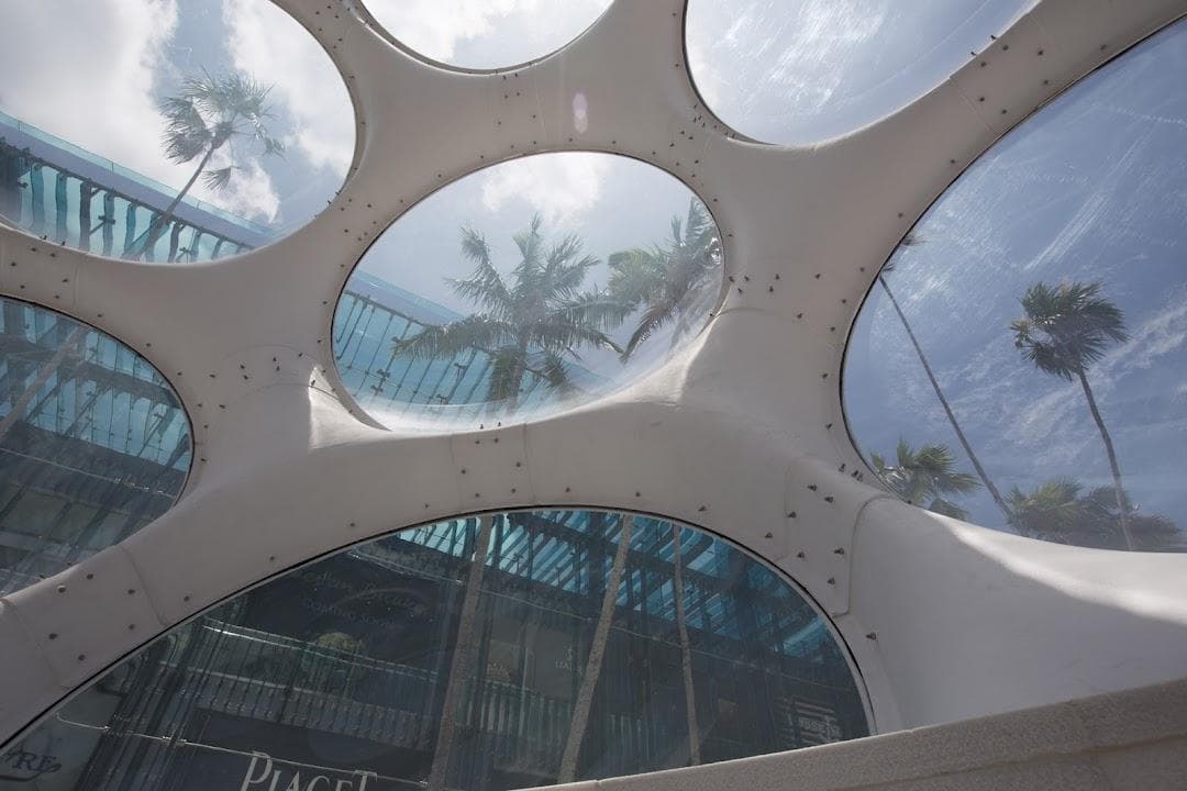 Palm Court photo 3