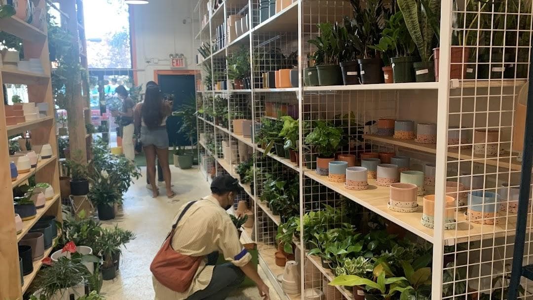 Little Shop of Soil photo 5
