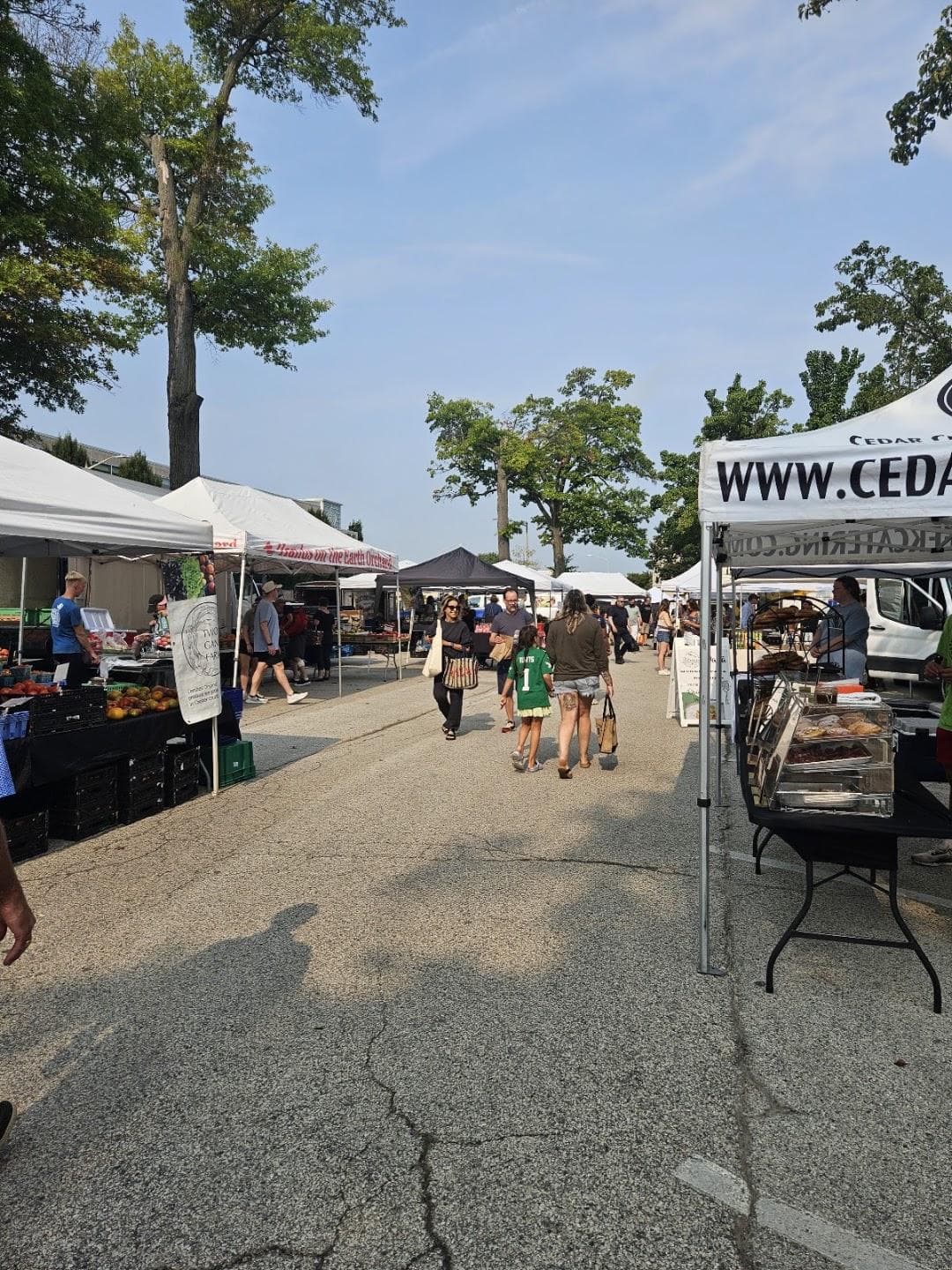 Bryn Mawr Farmers Market photo 2