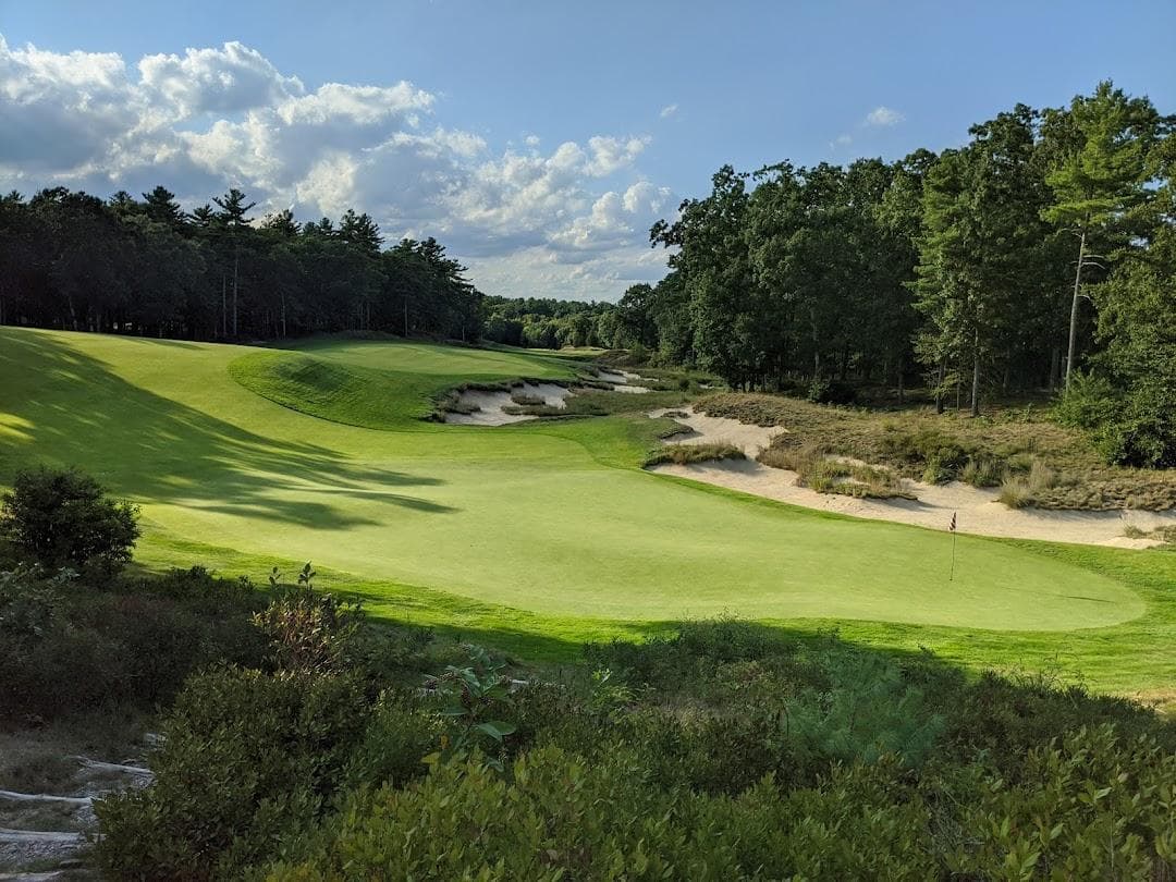 Boston Golf Club photo 5