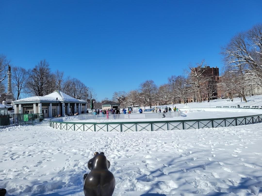Boston Common Frog Pond photo 5