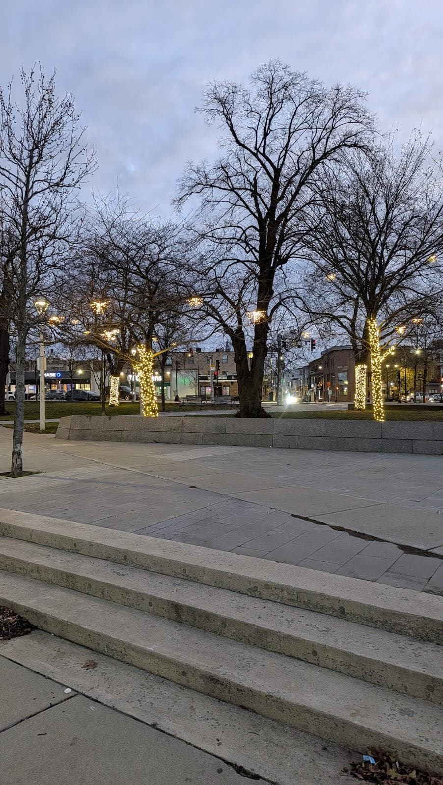 Central Square Park photo 2