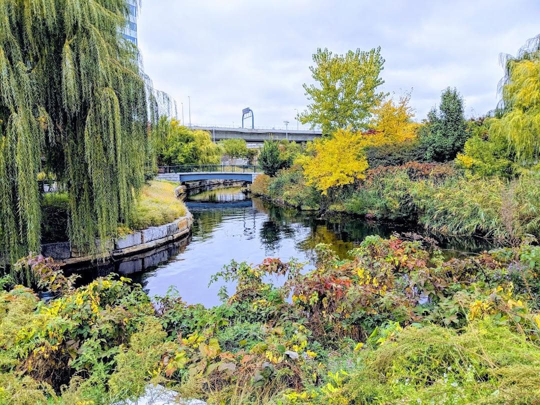 Richard McKinnon Park photo 1