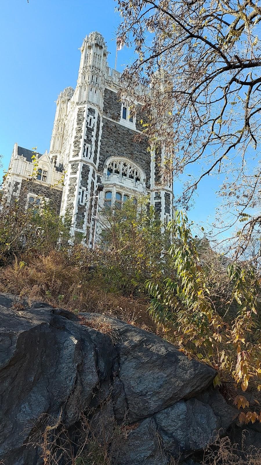 Harlem photo 3