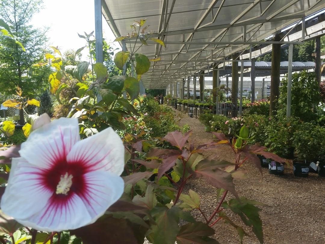 Cheshire Nursery Garden Center and Florist photo 1