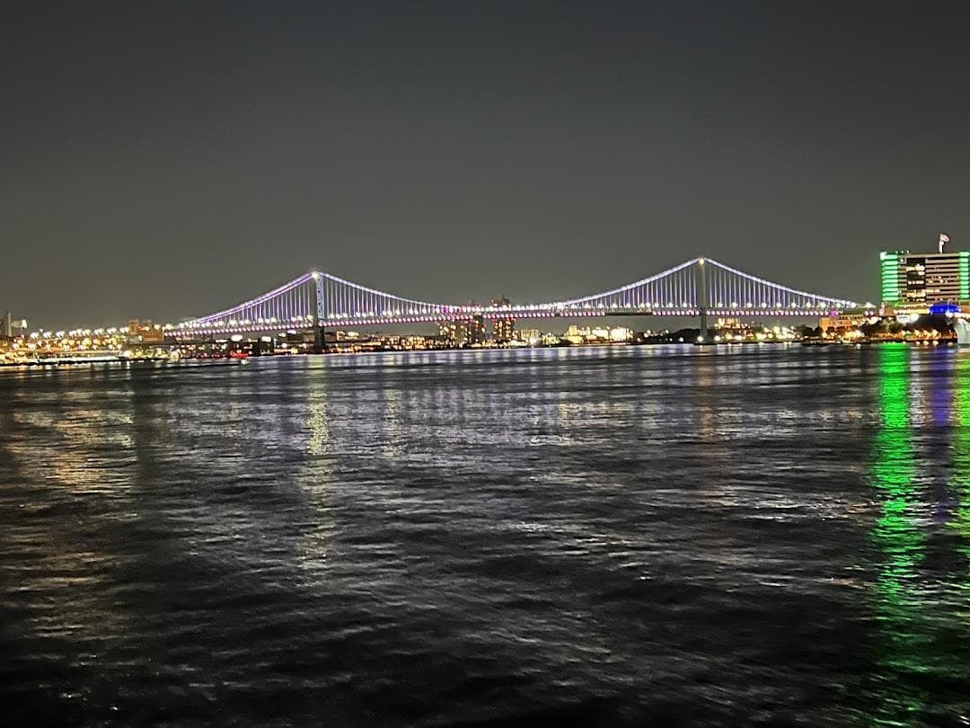 City Cruises photo 3
