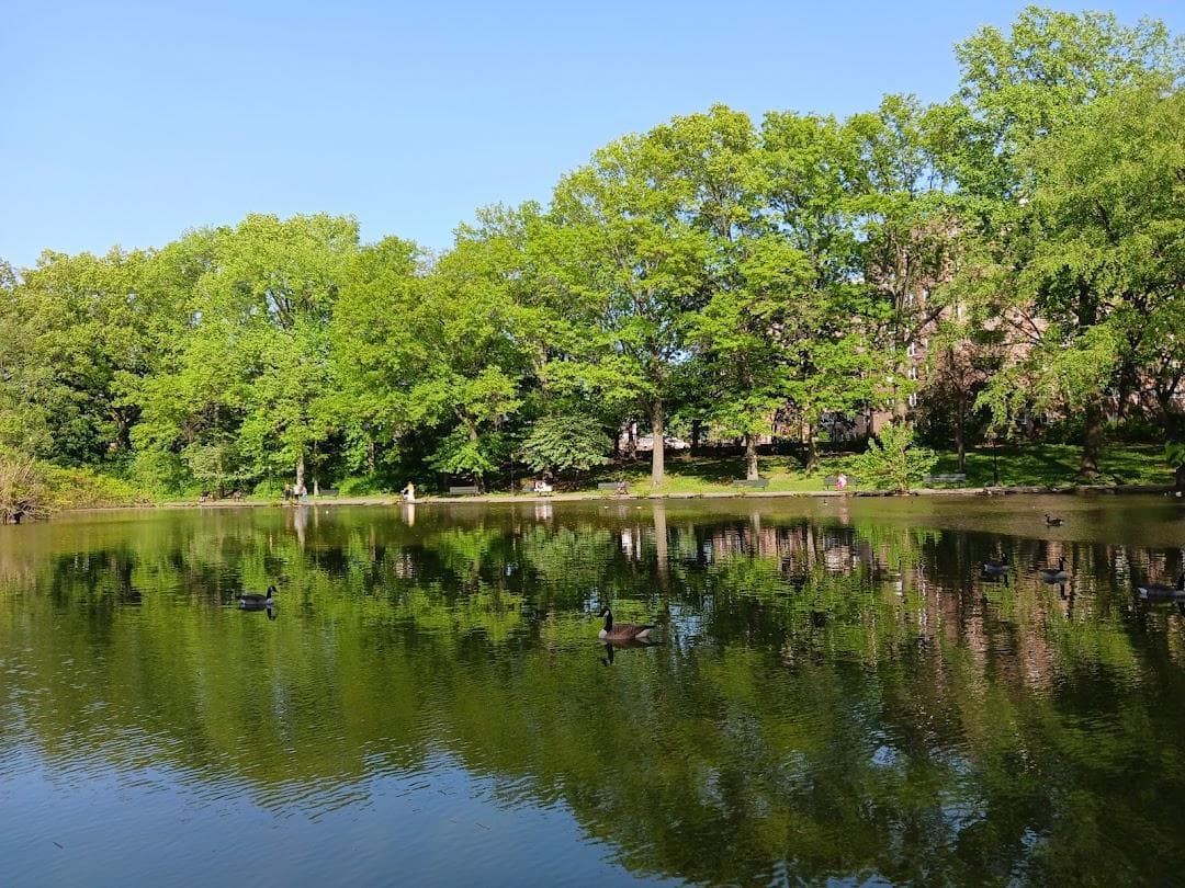 Captain Tilly Park photo 1