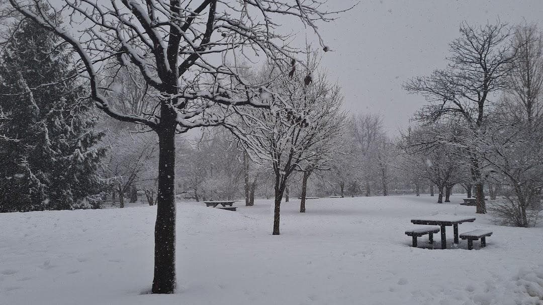 Amersfort Park photo 1
