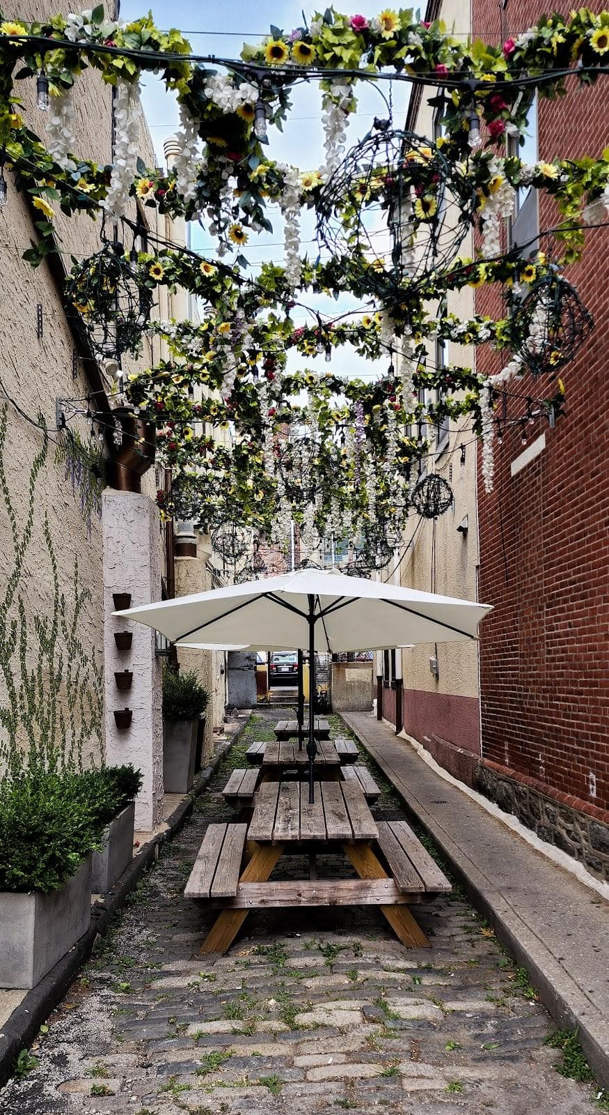 Manayunk photo 6