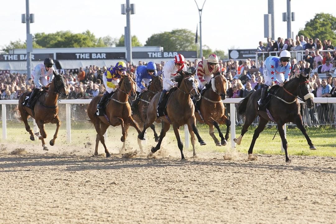 Chelmsford City Racecourse photo 2