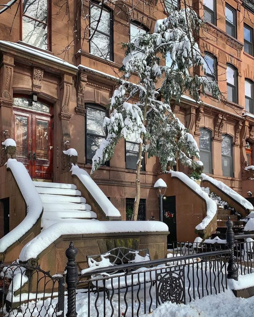 Park Slope photo 4