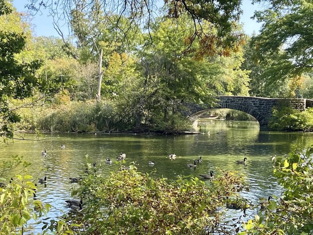 Scarboro Pond photo 5