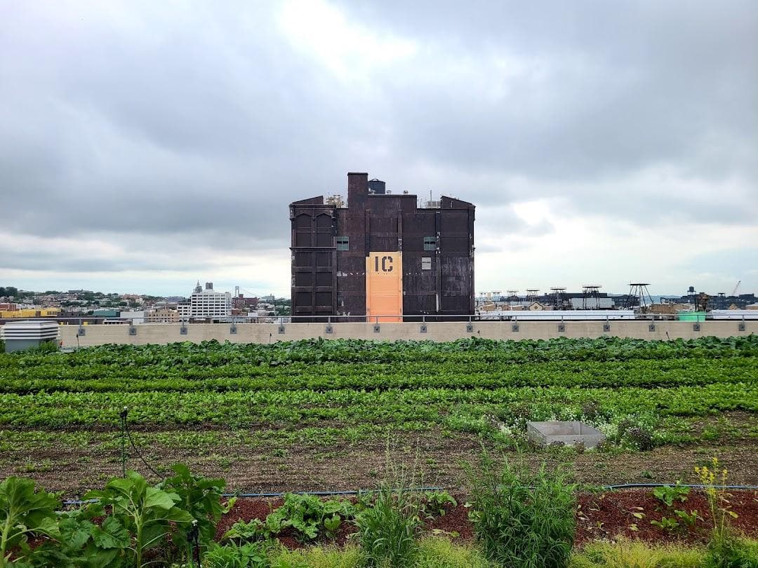 Brooklyn Grange @ Sunset Park photo 4