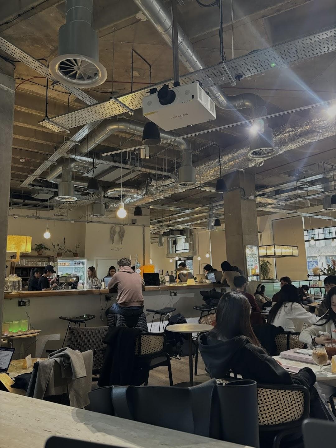 Cafebotanical. photo 1