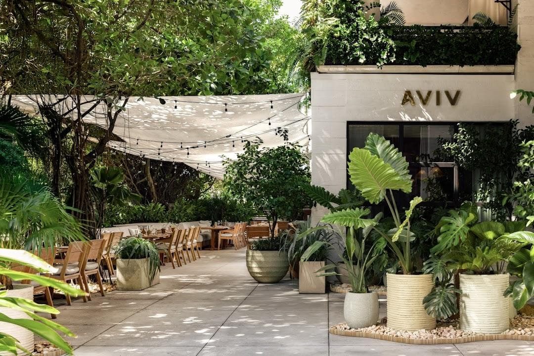 AVIV photo 6