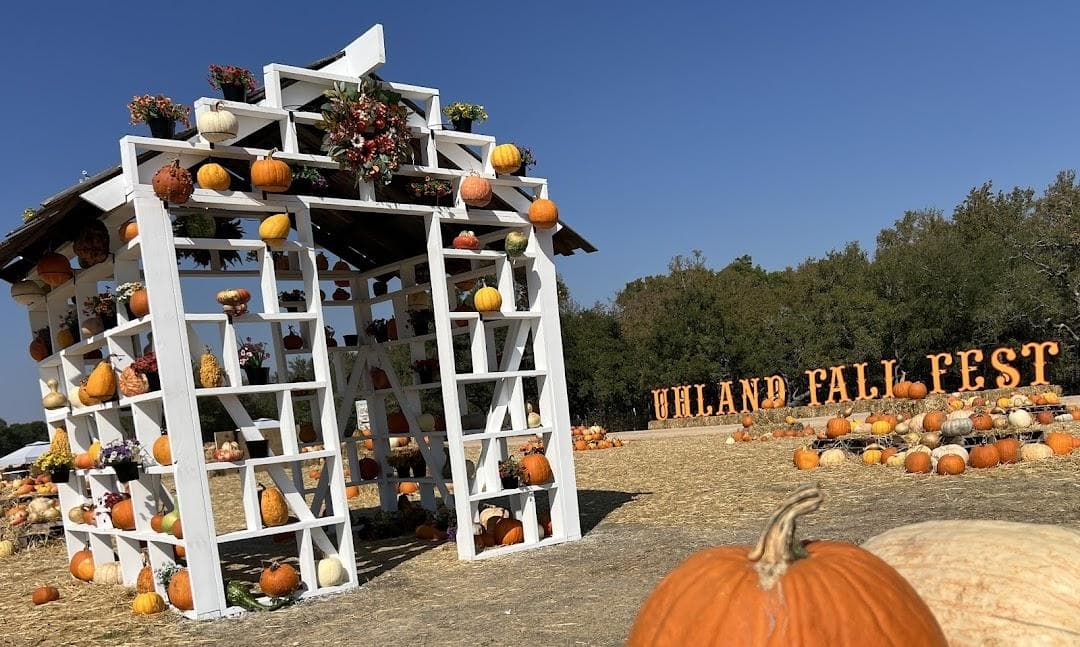 UHLAND FALL FEST photo 3