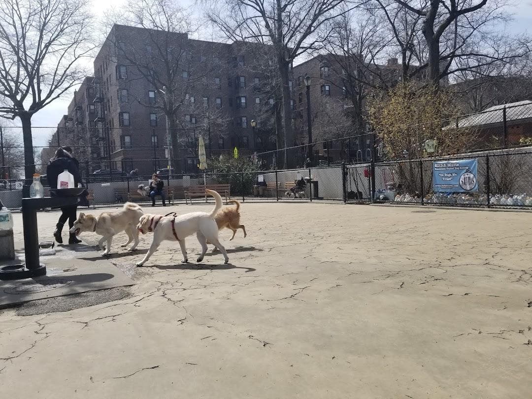 Torsney/Lou Lodati Playground photo 2