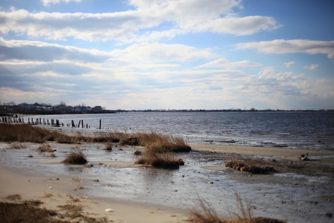 Dubos Point Wildlife Sanctuary photo 3