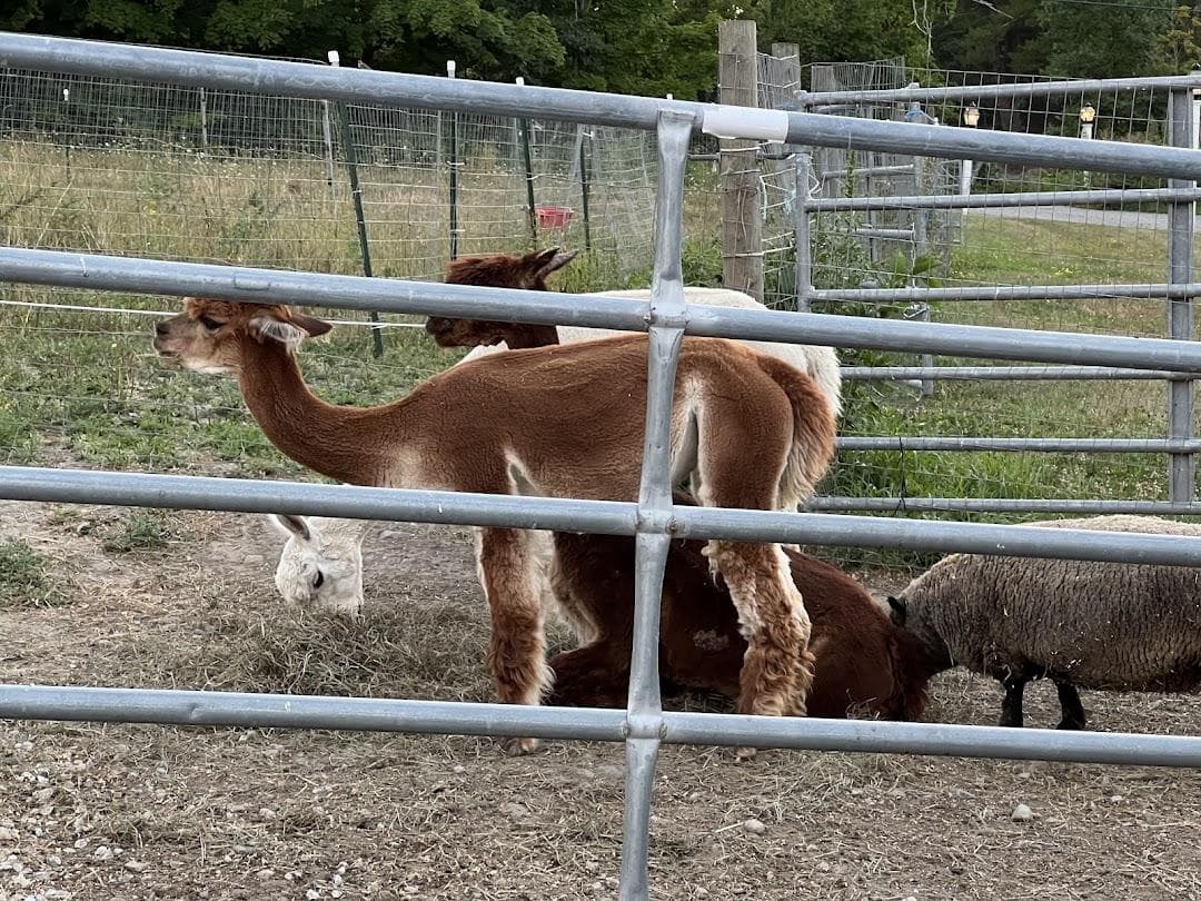 Good Pickin' Farm photo 4