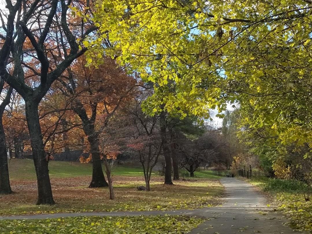 Shoelace Park photo 2