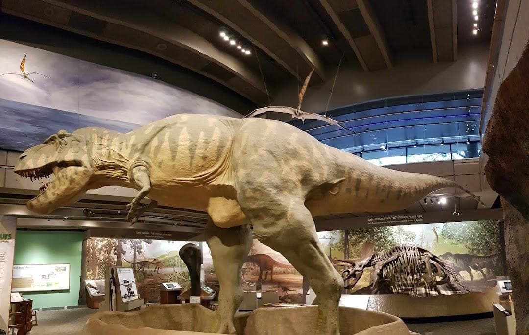 Museum of Science photo 3