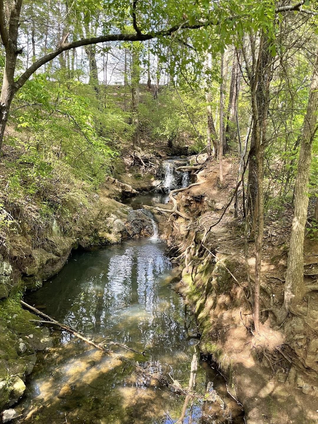 Frank Liske Park photo 5
