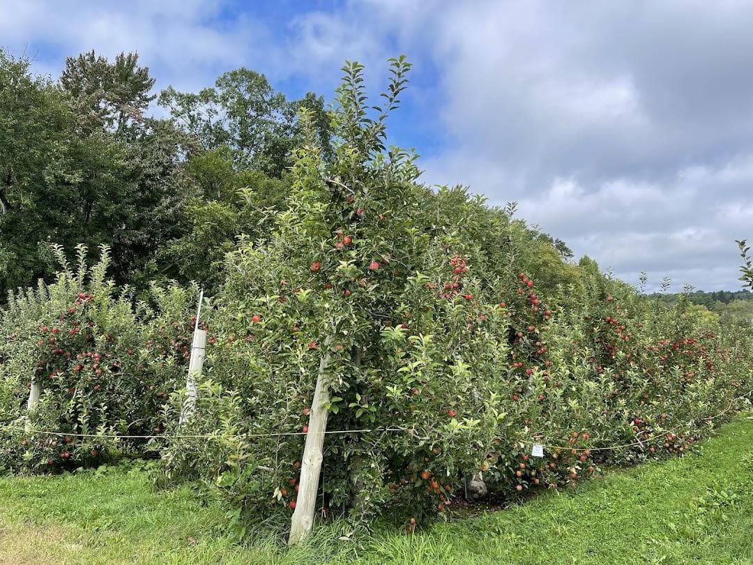 Honey Pot Hill Orchards photo 4