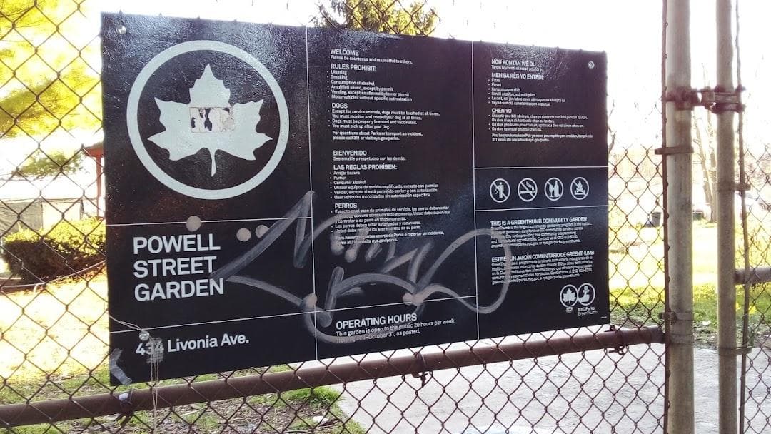Powell Street Garden photo 2