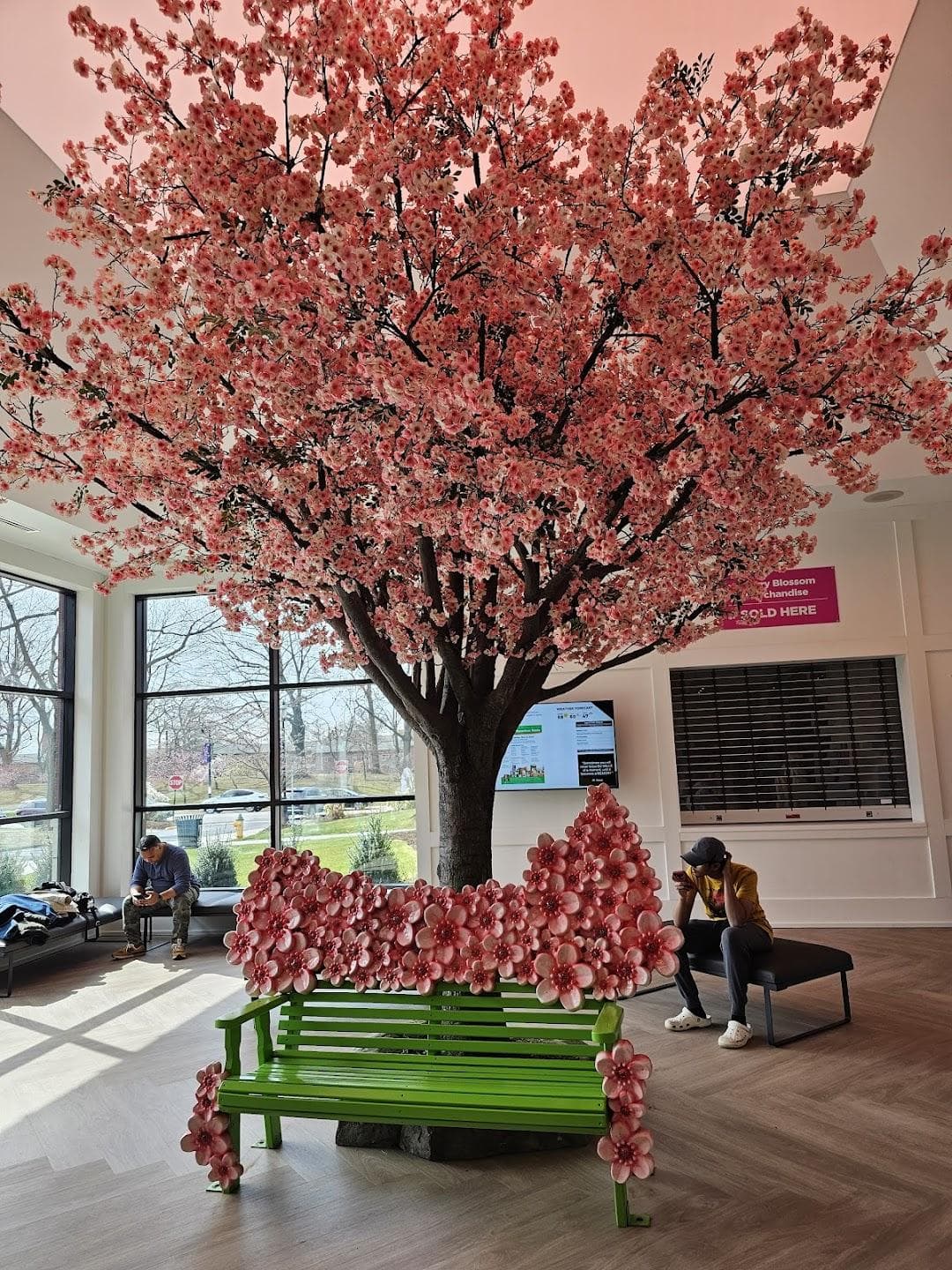 Cherry Blossom Welcome Center photo 6