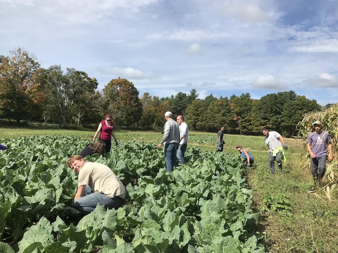 The Food Project's Baker Bridge Farm photo 1