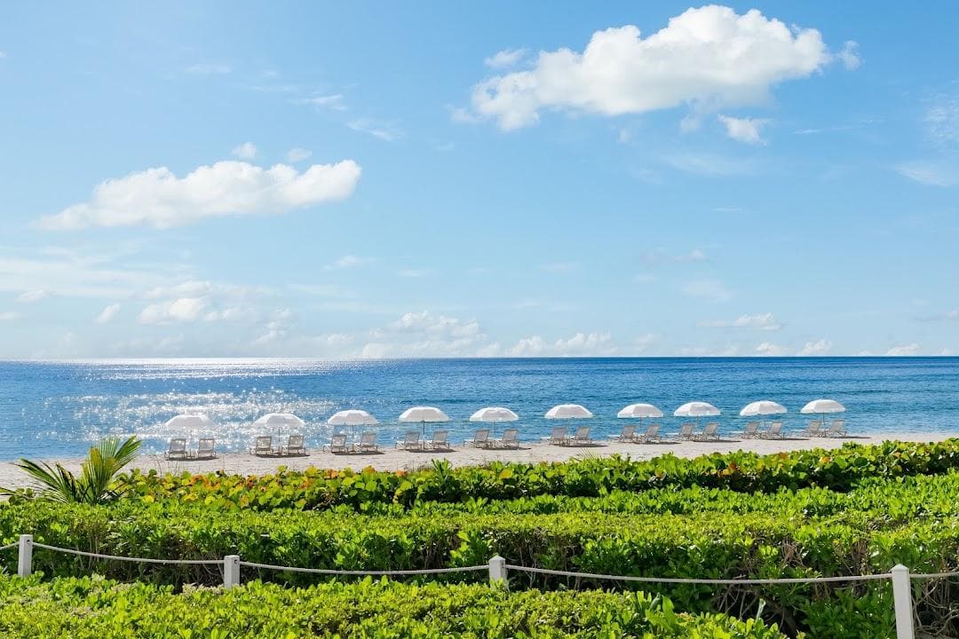 Trump International Beach Resort photo 4