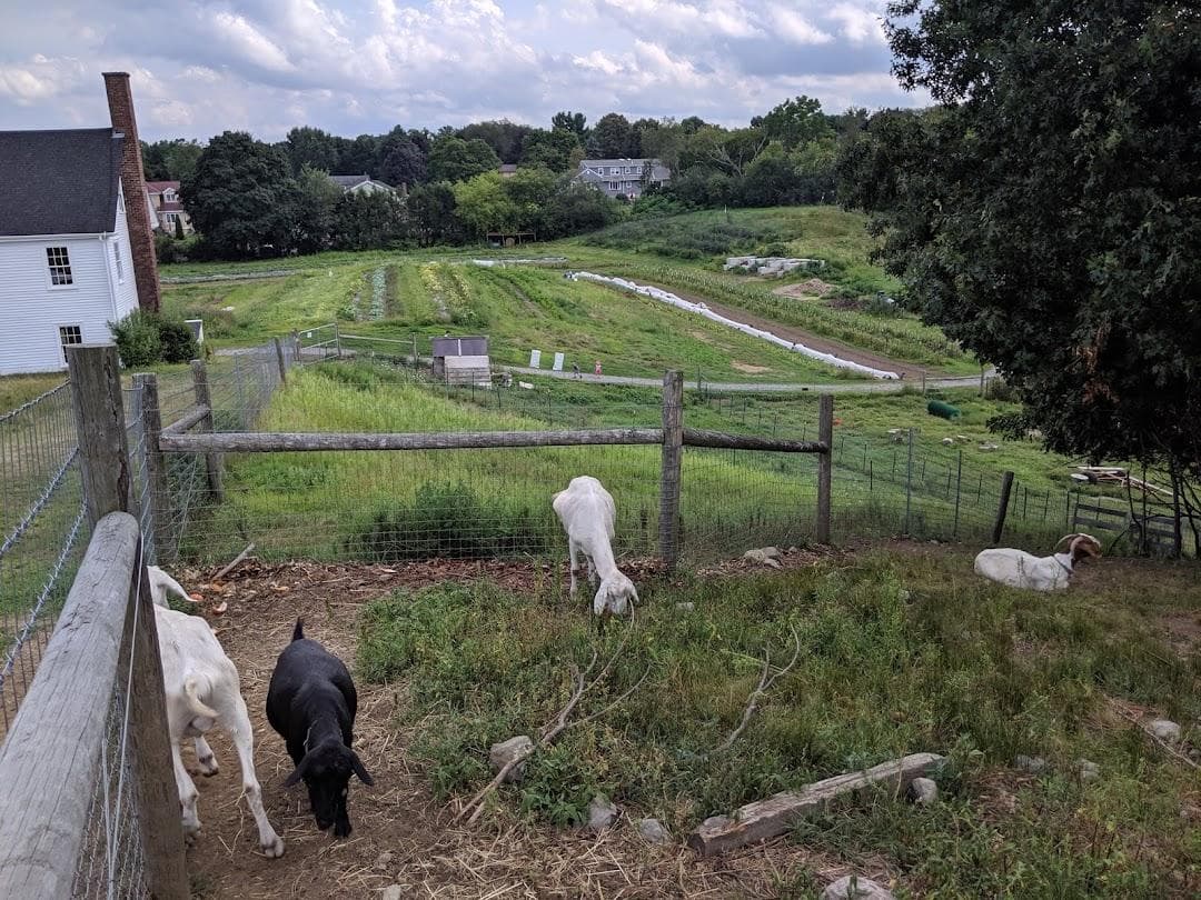 Wright-Locke Farm photo 1