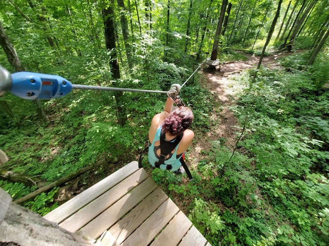 Treescape Aerial Adventure Park photo 1