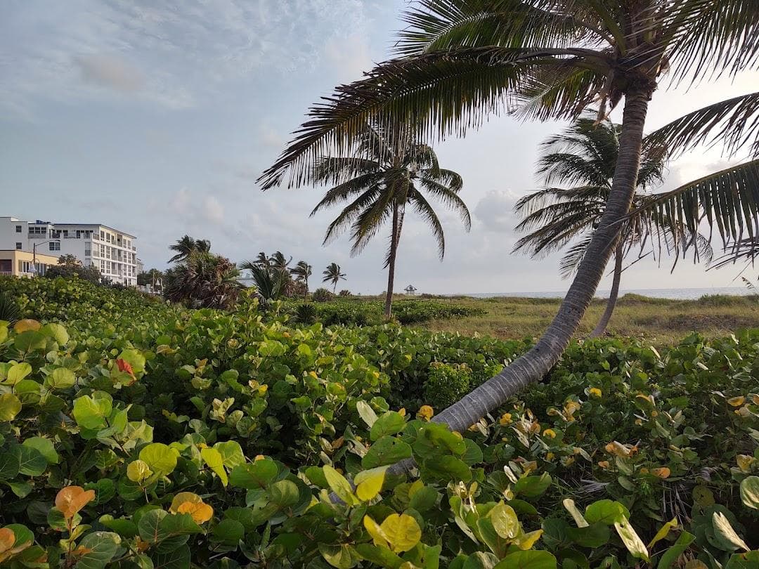 Delray Beach photo 2