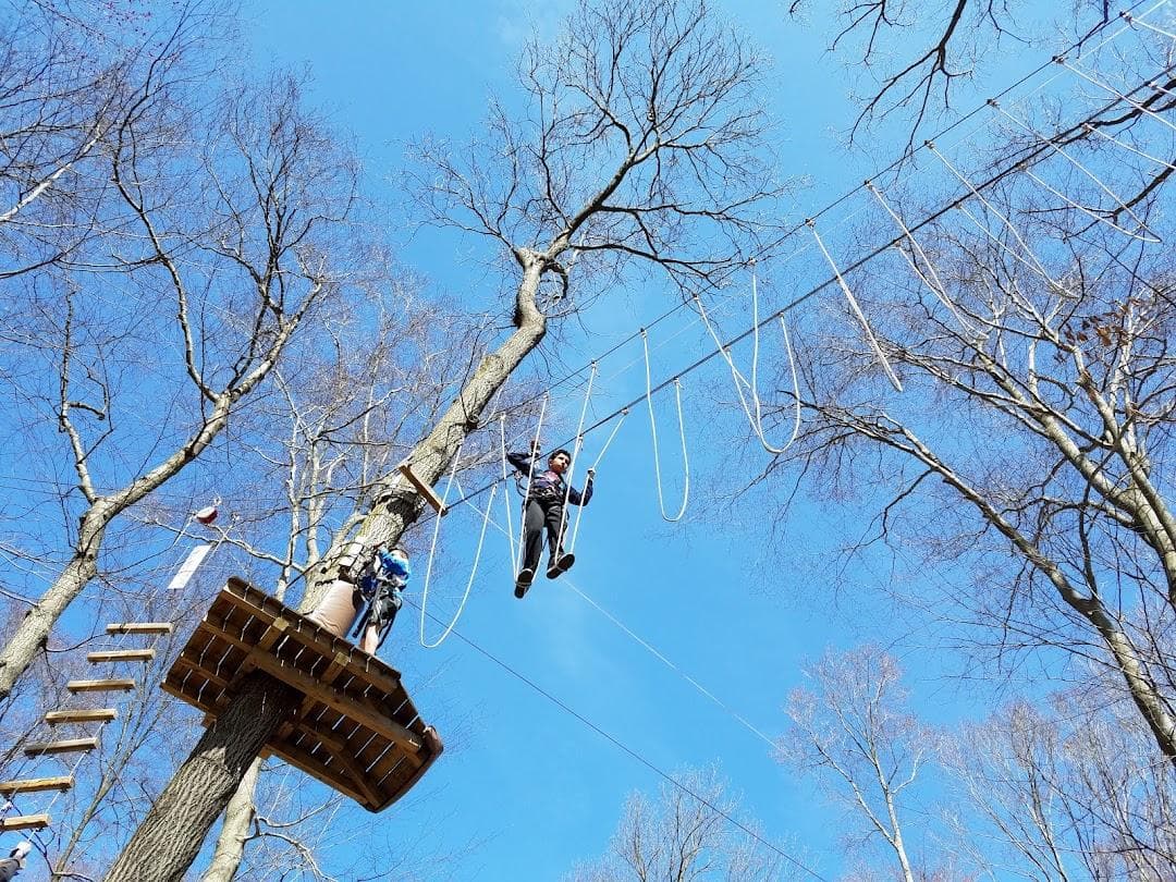 The Adventure Park at the Discovery Museum photo 6
