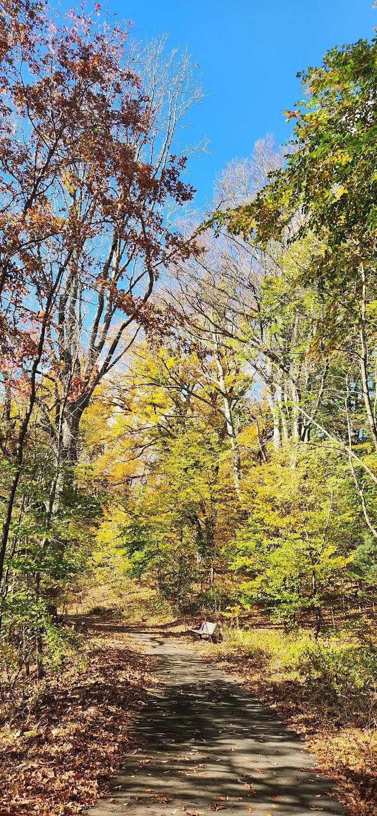 Scarboro Pond photo 3