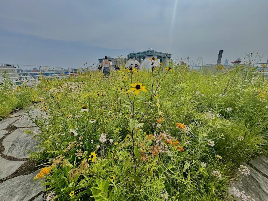 Kingsland Wildflowers Green Roof & Community Engagement Center photo 5