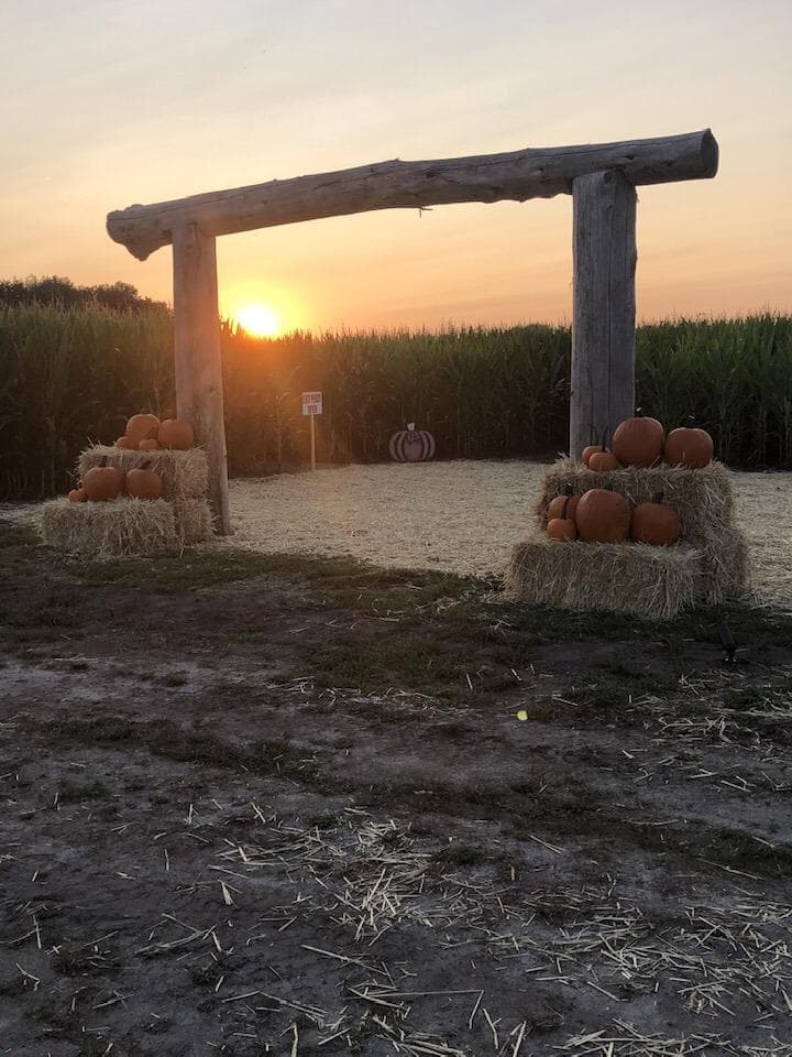 The Red Barn Farm photo 4