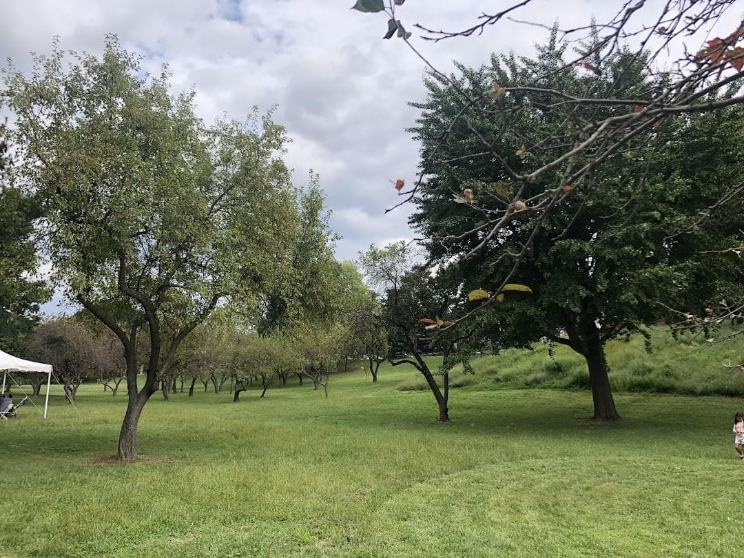 Queens Botanical Garden photo 3
