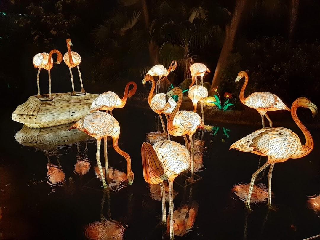 Jungle Island photo 4