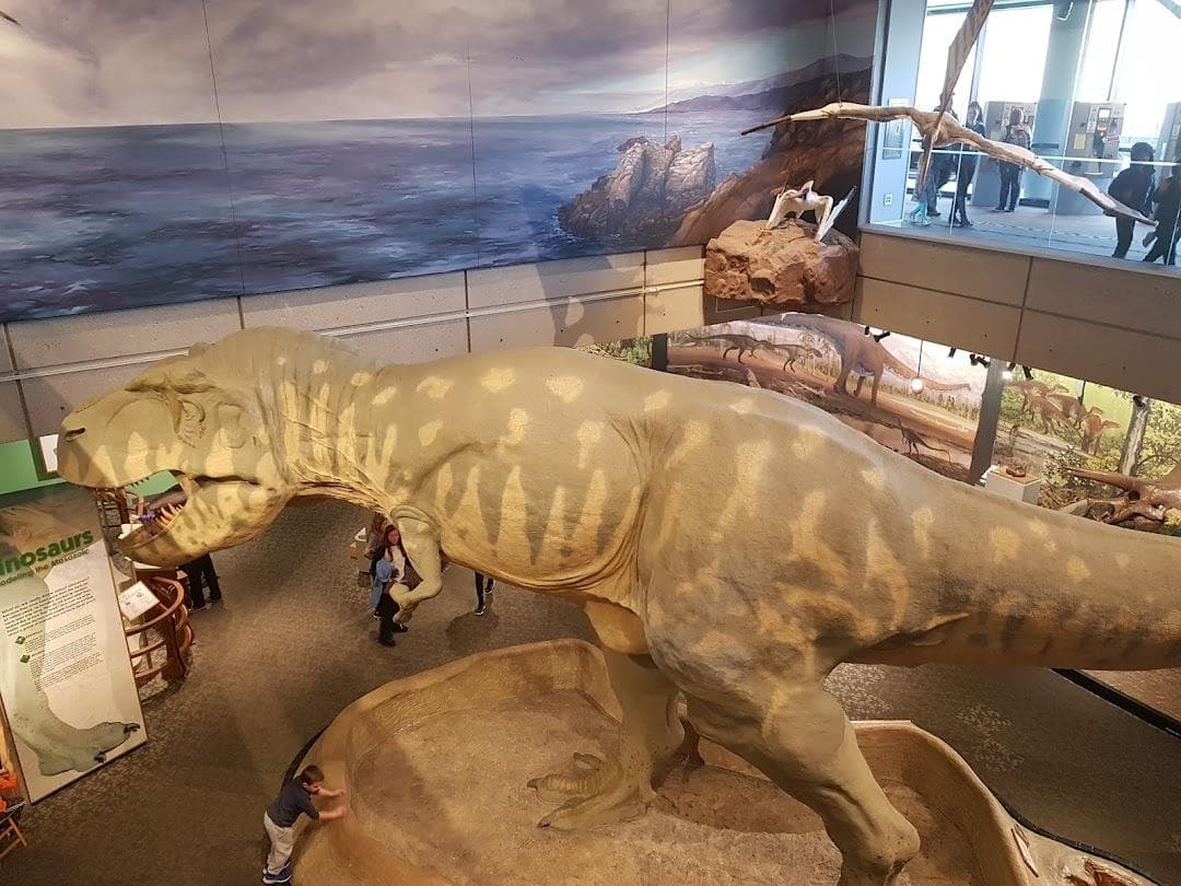 Museum of Science photo 1